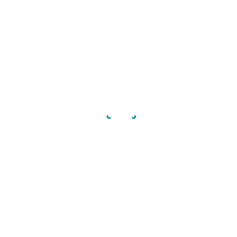 Wild Wolf Old Logo